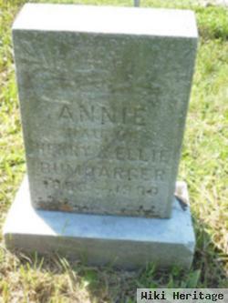 Annie Bumbarger