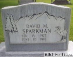 David M Sparkman