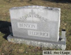 Ann Marie Federici Benson