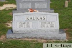 Charles Kaukas