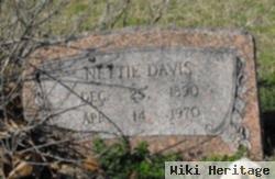 Nettie D Thompson Davis