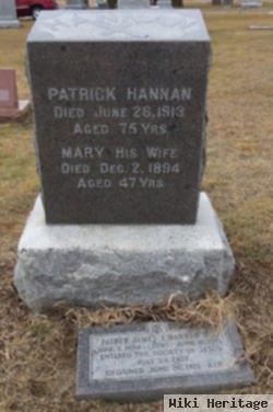 Patrick C Hannan