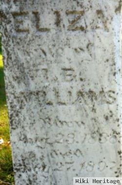 Elizabeth "eliza" Coltrin Williams