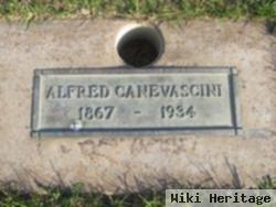 Alfred C Canevascini