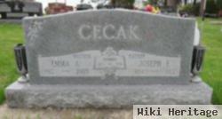 Joseph F Cecak