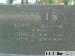 Carrie Agnes Burnham Davis