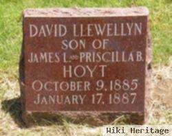 David Llewellyn Hoyt