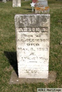 Anson Gibson