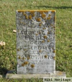 Albert L. Lieber