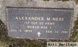 Alexander M Ness