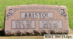 Mary Amelia Wolf Bristol