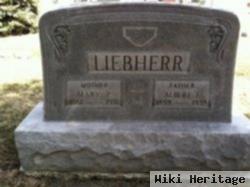 Albert J Liebherr