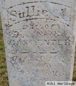 Sullie A. Carpenter