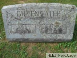 Eliza Ryan Gillenwater