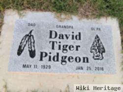 David Tiger Pidgeon