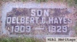 Delbert C. Hayes