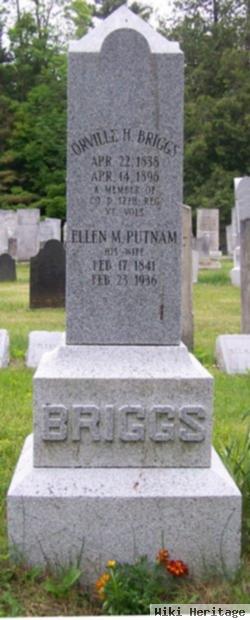 William Putnam Briggs