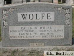 Fannie Winfield Wolfe