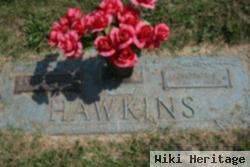 George Plato Hawkins