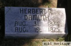 Herbert R. Damuth