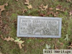 David Carroll Taylor