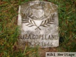 Eliza Jane Brown Copeland