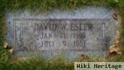 David Esler