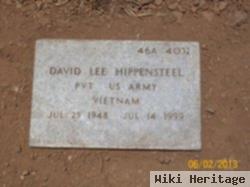 David Lee Hippensteel