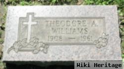 Theodore Arthur Williams