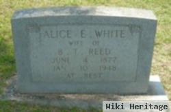 Alice E. White Reed