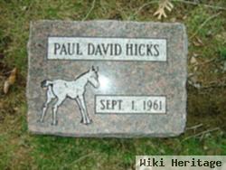 Paul David Hicks