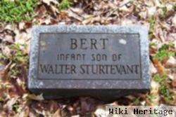 Bert Sturtevant