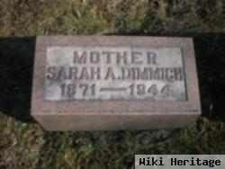 Sarah Ann Erney Dimmich