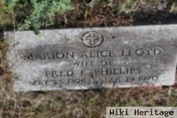 Marion Alice Lloyd Phillips