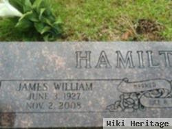 James William Hamilton