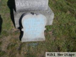 Gertrude Hagenbush