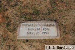 Horace Olen Gulledge