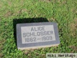 Alice Albert Schlosser