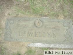 Frances Marie Lewellyn