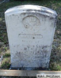 Abbie S. Collins