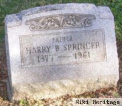 Harry B Springer