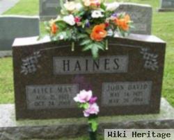 Alice May Nesmith Haines