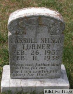 Carroll Nelson Turner