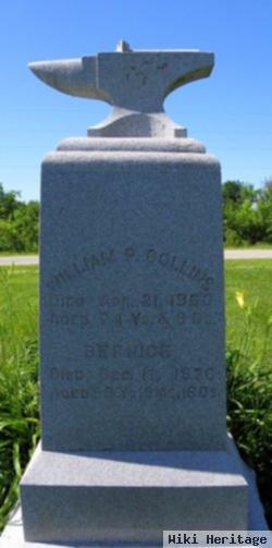 William Peter Collins