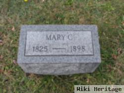 Mary A Chichester Hayden