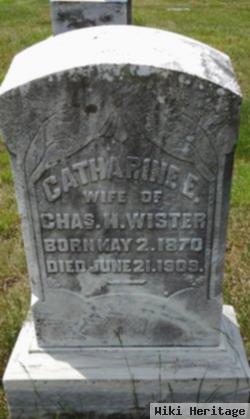 Catharine W Wister