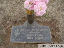 Bruce A Gilbow