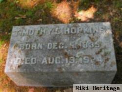 Timothy E Hopkins