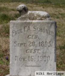 Paul F. A. Schoner