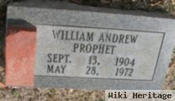 William Andrew Prophet